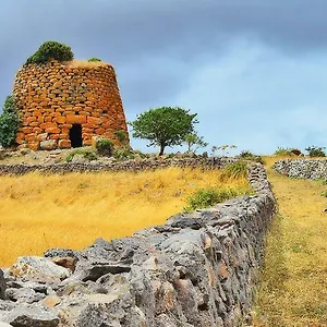Le Mimose , Arborea Italië